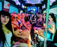 Bus Buck$ Brisbane Party Buses 2 _small