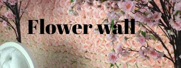 Free Flower wall Griffin Parties